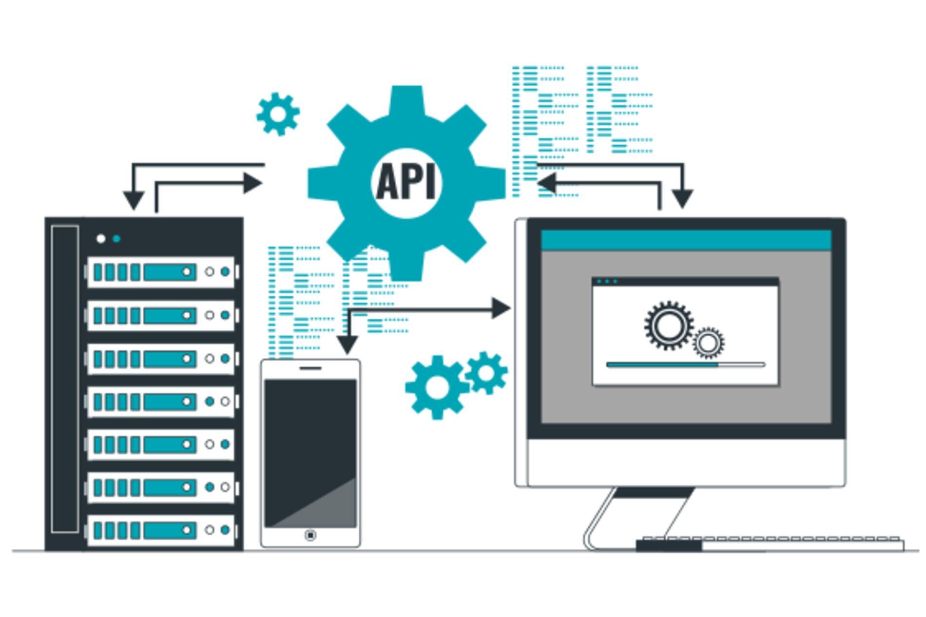 application-programming-interface-svg